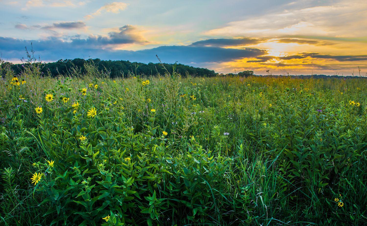 1592856788prophetstown-state-park