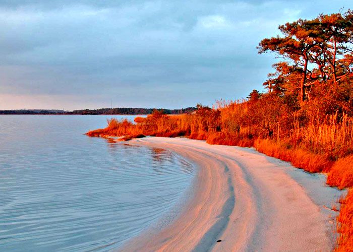 Delaware-seashore