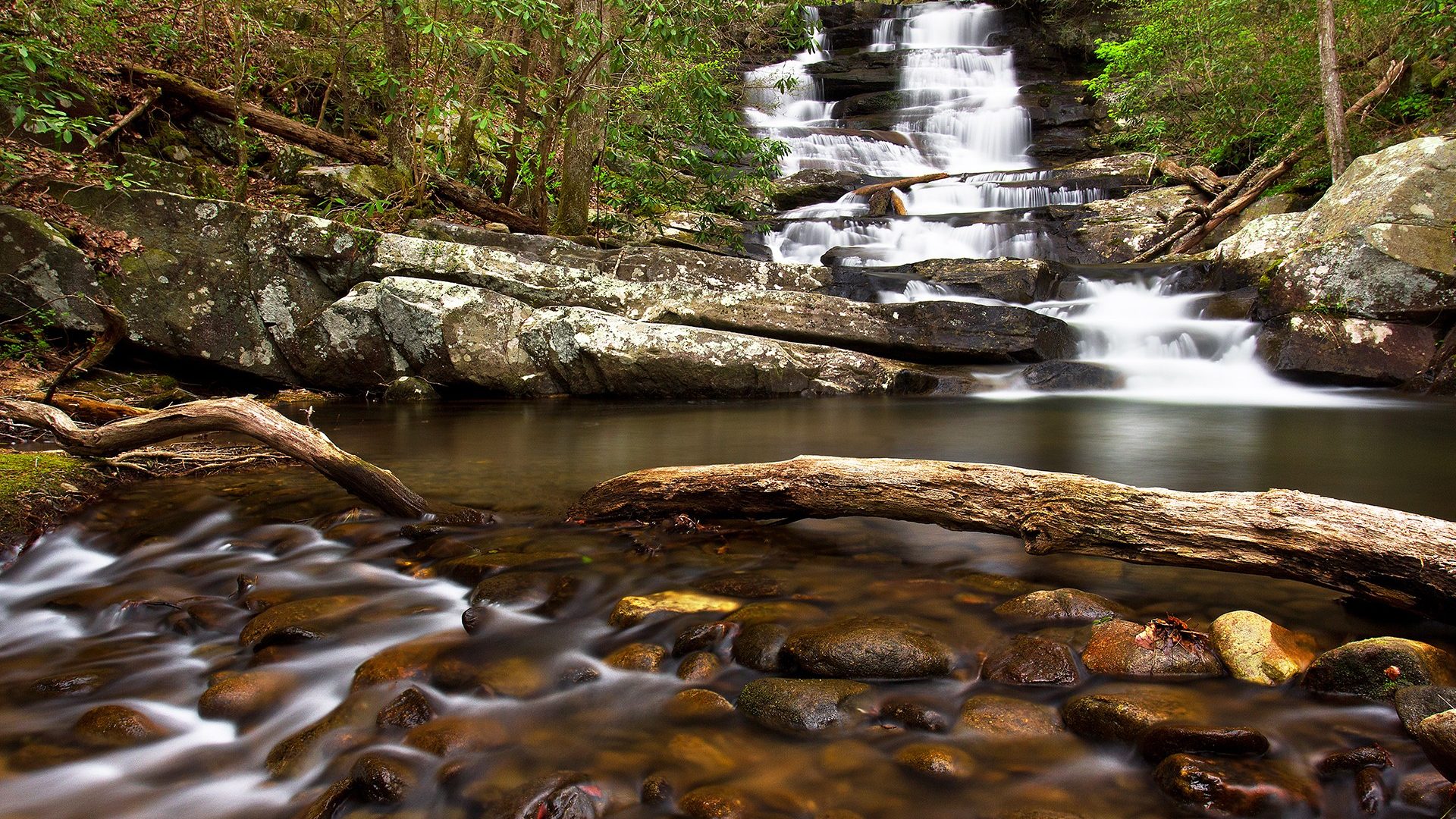 Georgia-stream