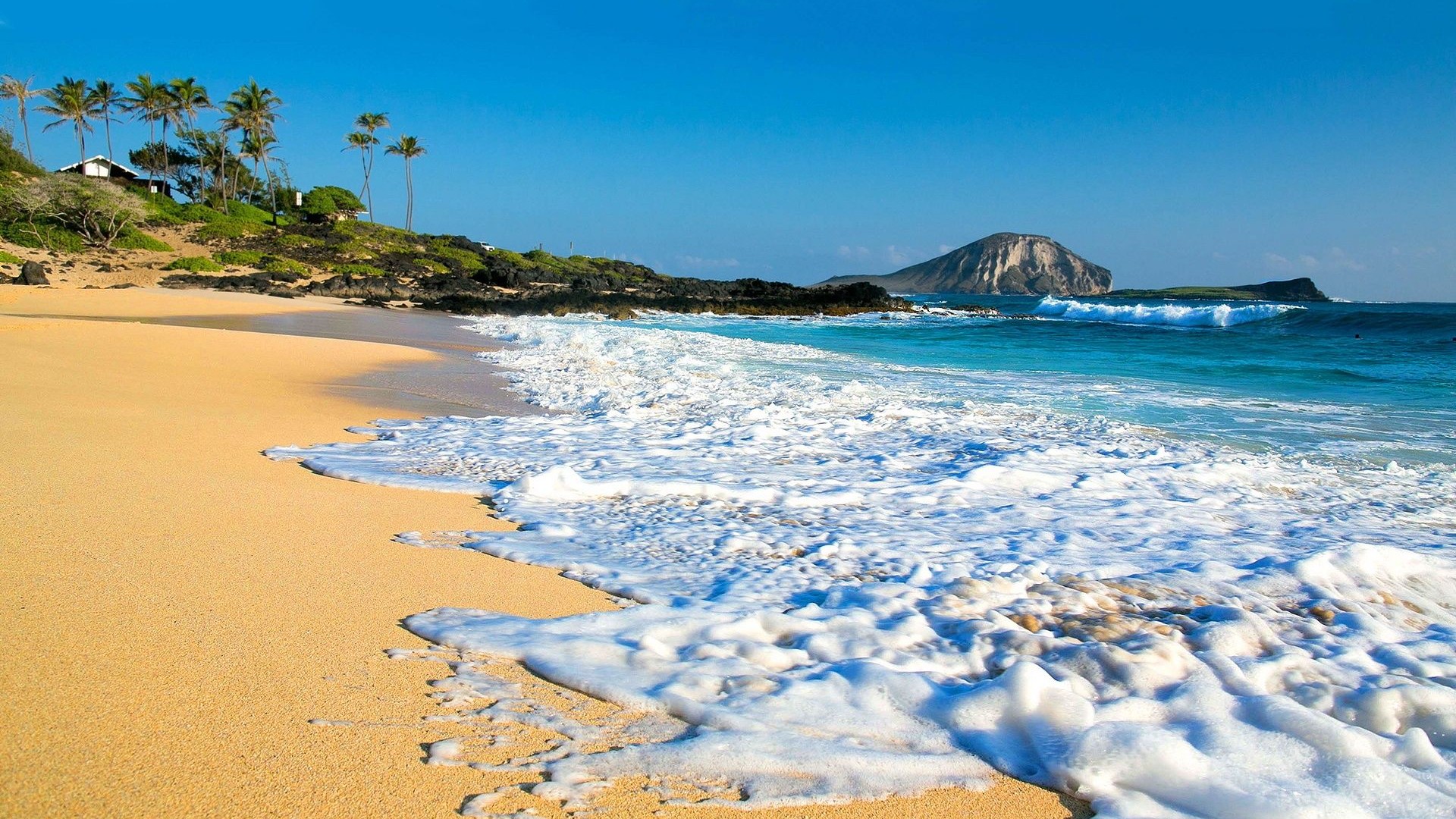 Hawaii-beach