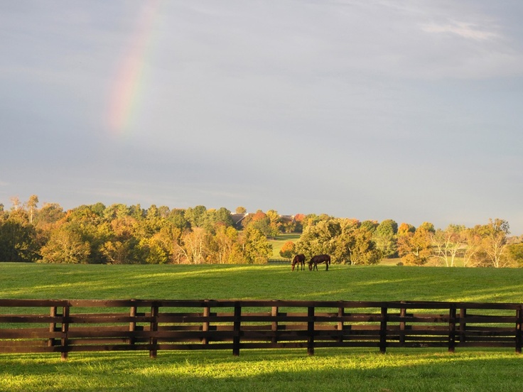 Kentucky-farm