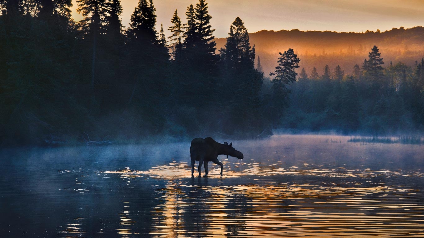 Michigan-nature