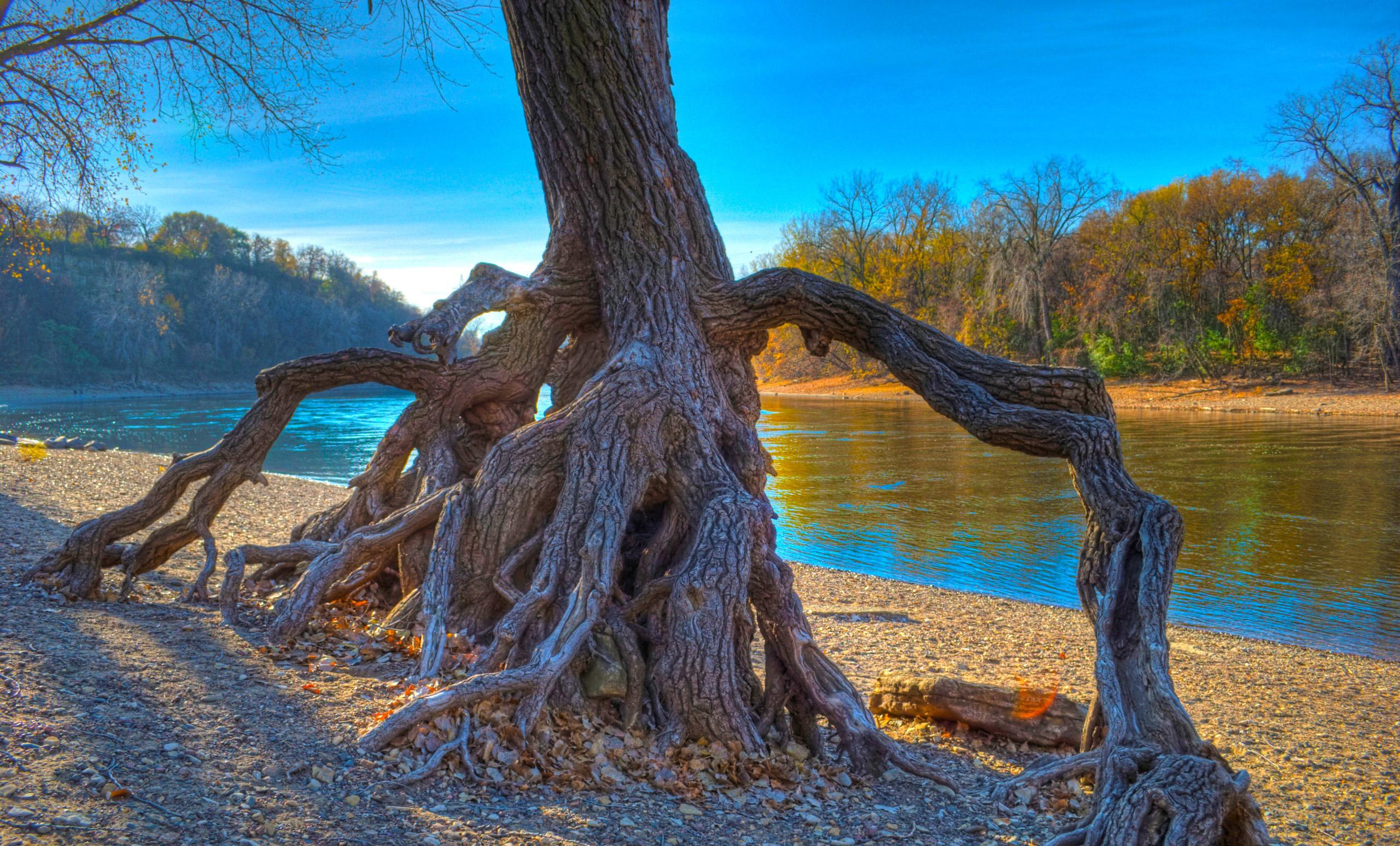 Mississippi-nature