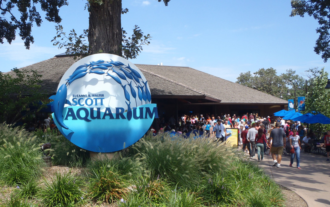 Omahas-Henry-Doorly-Zoo-Aquarium