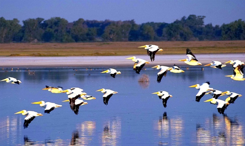 Quivira-natl-wildlife-refuge