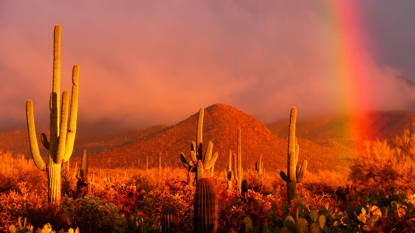 arizona-desert-rainbow