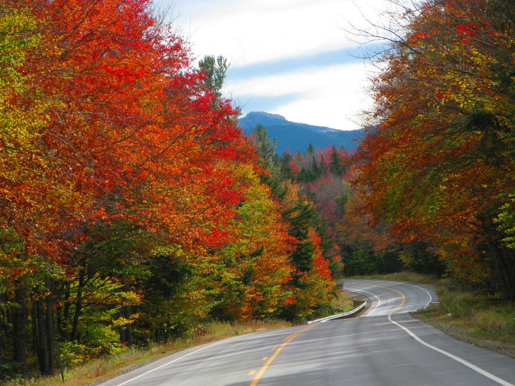 autumn-colors