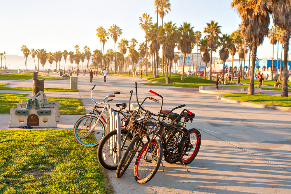 bicyucles-and-palm-trees-by-beach