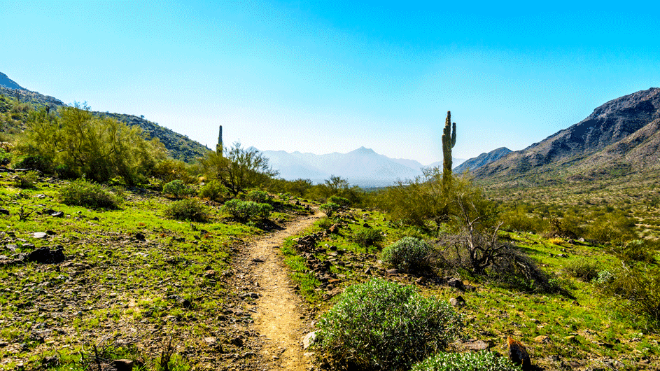 desert-scenery