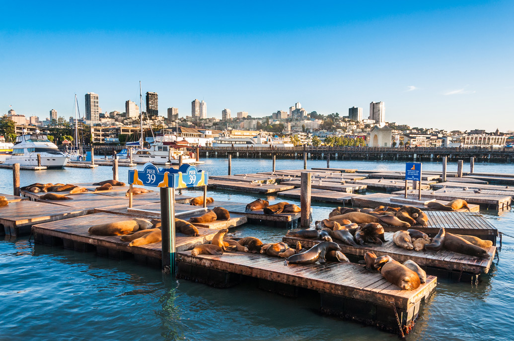 fishermans-wharf