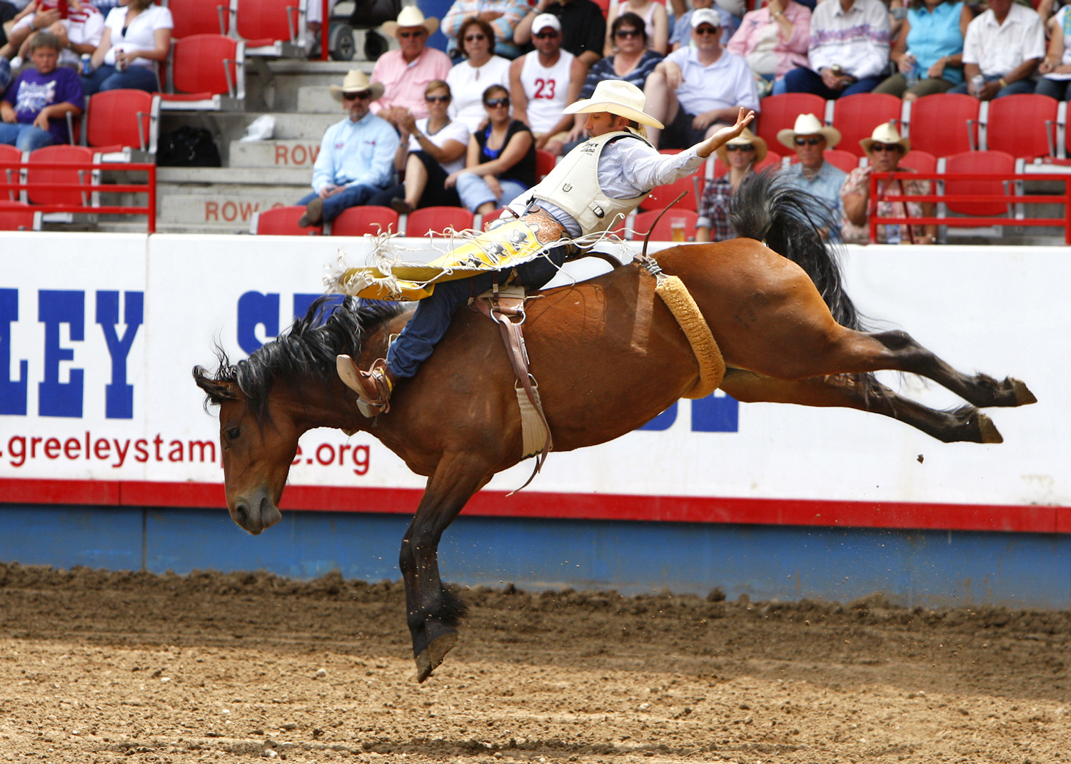 greeley-stampede