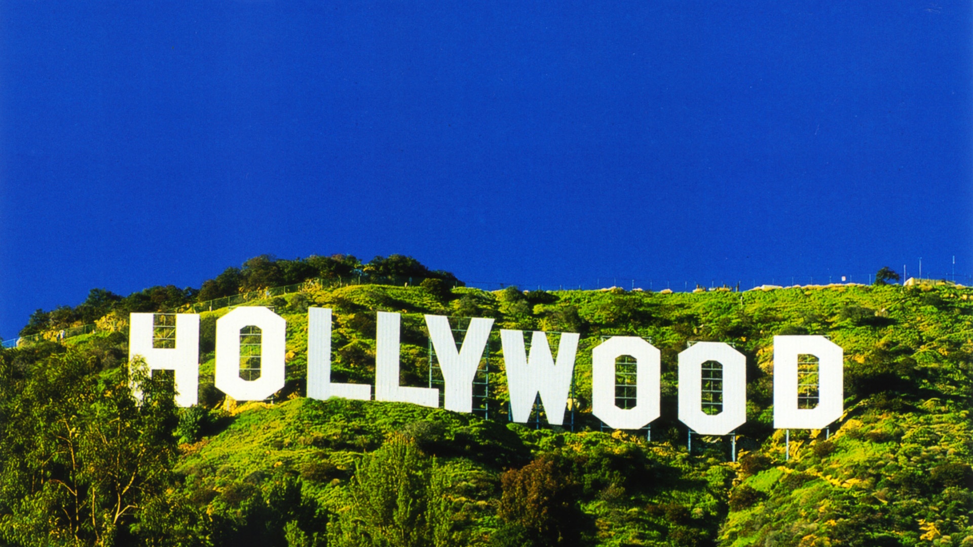 hollywood-sign