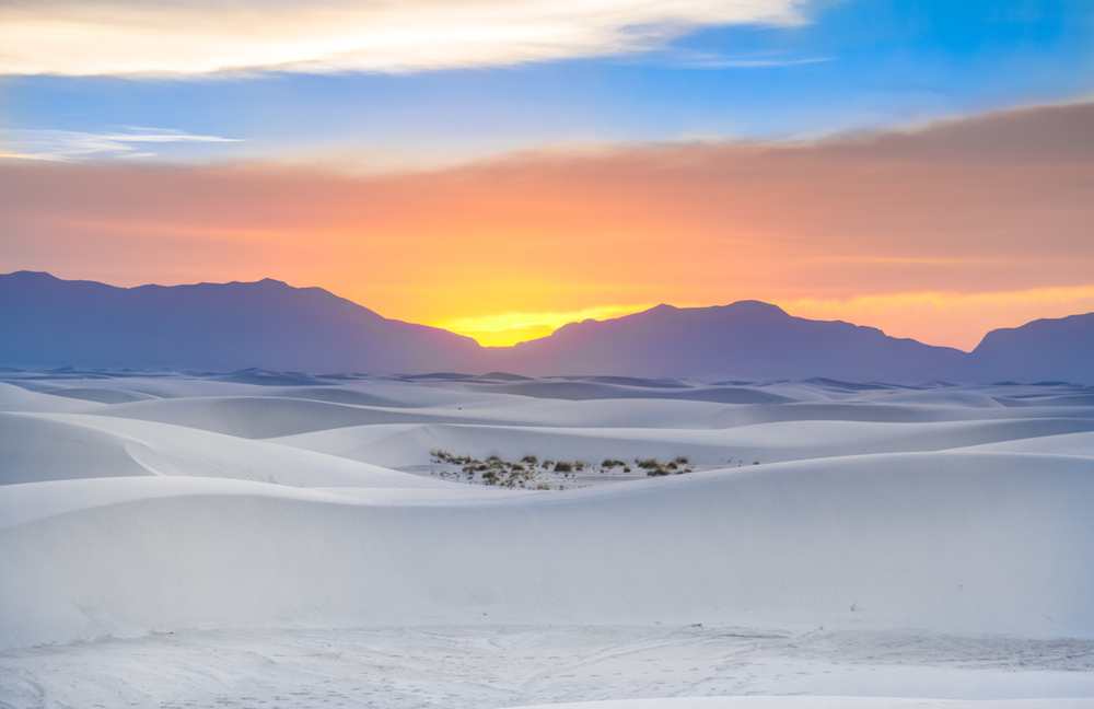 white-sands